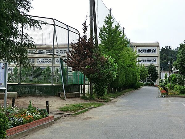 柏市立柏第四中学校（650ｍ）