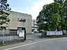 周辺：「柏市立高田小学校」学校のすぐ隣を流れる大堀川周辺には遊歩道が整備され緑豊かな畑や丘陵・森林がある自然豊かな所です。