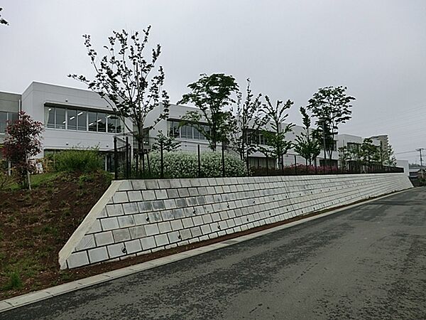 平成21年に新しい校舎に建て替えられました。気づき、深め、認め合う児童、「心優しく逞しい子の育成」を教育目標に地域と歩んでいます。