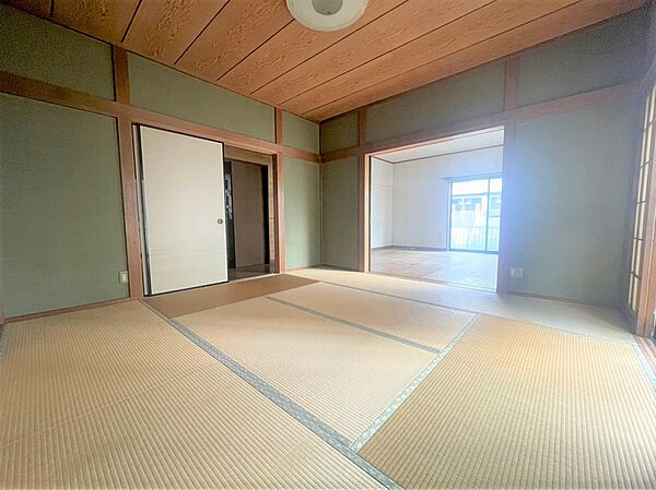 室内（2026年3月）撮影
