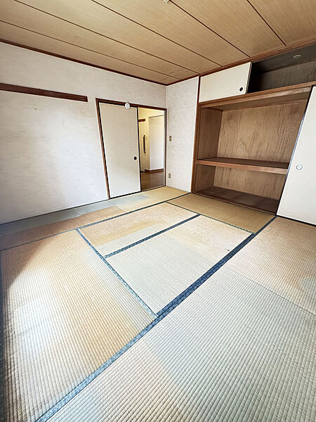 室内（2026年6月）撮影