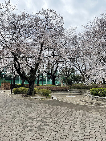 【敷地内桜】緑と花に包まれた心豊かな暮らし。満開の桜が日常に彩りと癒やしを与えてくれます。