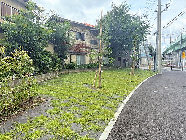 北側官有地（2026年7月）撮影