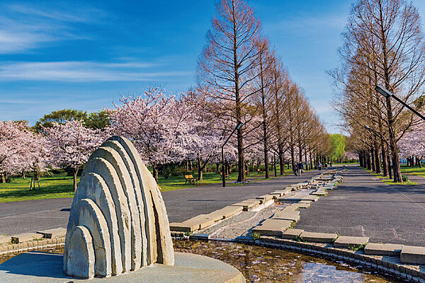 舎人公園まで約700ｍ