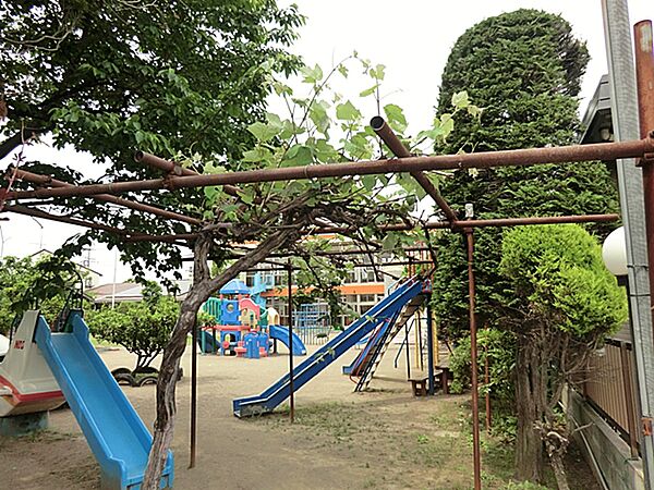 周辺を拡大表示