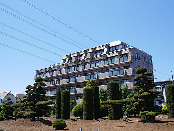 外観：311002390762