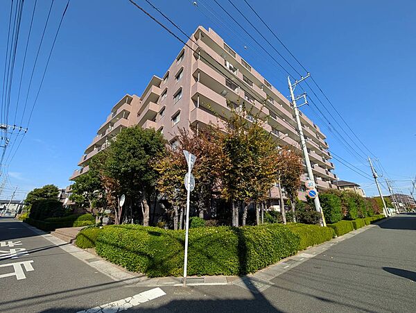 外観：311002233318