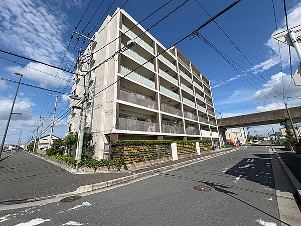 南西向きで陽当たり良好！嬉しいペットと暮らせるマンション♪階下がエントランスのため、住戸なし！【2026年6月撮影】