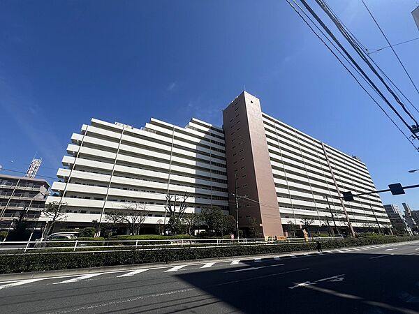 外観：313004691451