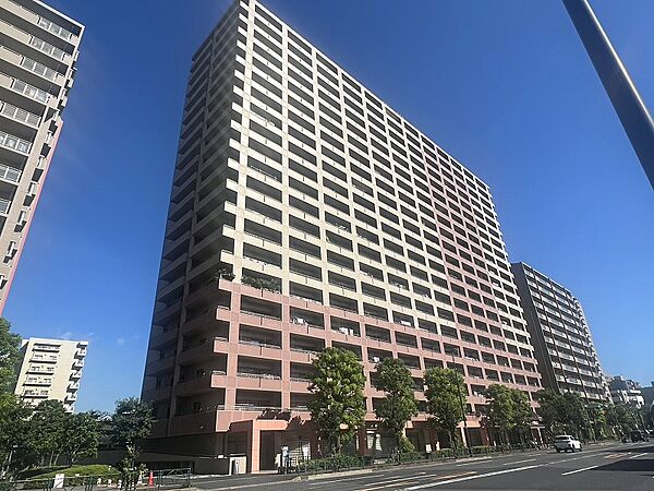 外観：313004915894