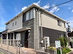 モントブレチア 102