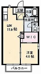 コンセルトヘボウ 1LDKの間取図画像
