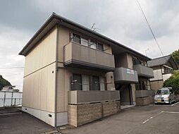 シャーメゾン　カメリア