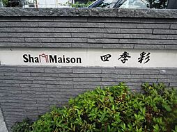 シャーメゾン　四季彩 0305