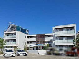 Ｓｈａｍａｉｓｏｎ　Ｓｔｅｌｌａ　Ｒｉｓａｉａ