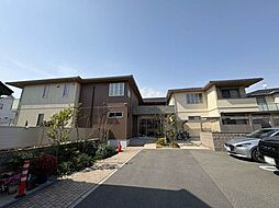 Ｆｅｌｉｓｅｅｄ　Ｐｒｕｇｎａ