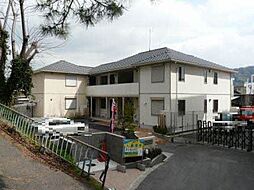 メゾン中野