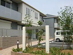 ＭＡＳＴ　ＣＯＵＲＴ鳴神