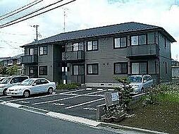 ＴＳアルカディア