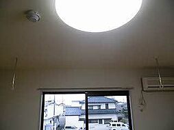 ディアス花水木 0202