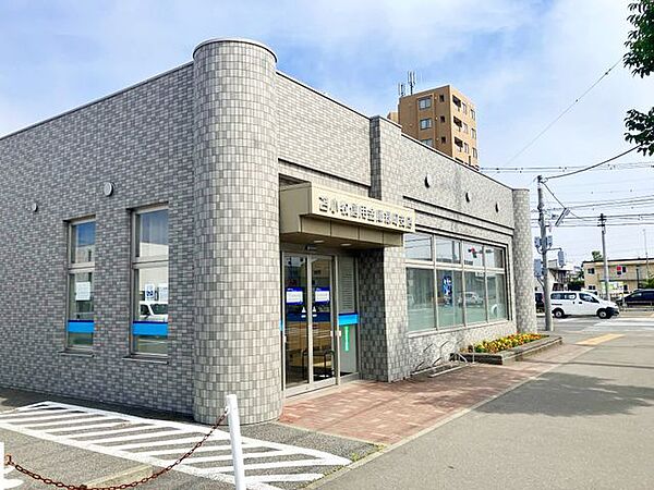苫小牧信用金庫緑町支店 徒歩6分。 470m