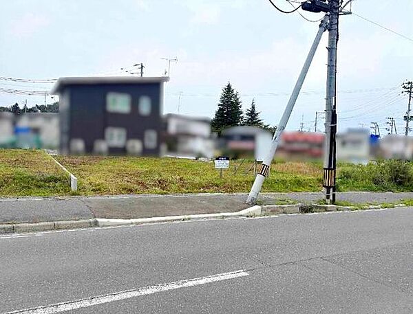 外観：302000009931