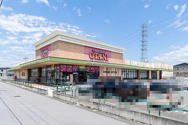 フードオアシスOTANI高根沢店 410m