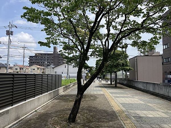 遊歩道