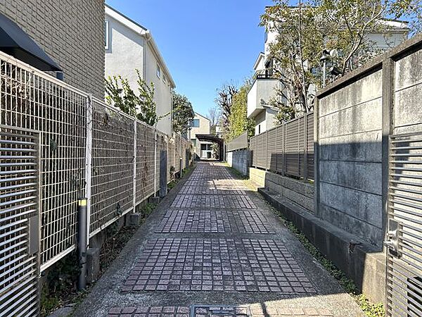 2026年3月撮影