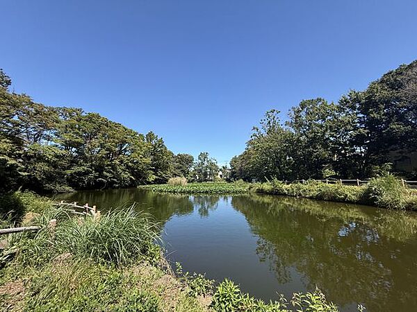 菊名池公園 120m