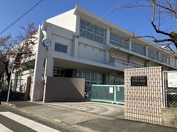上野小学校 徒歩5分 370m