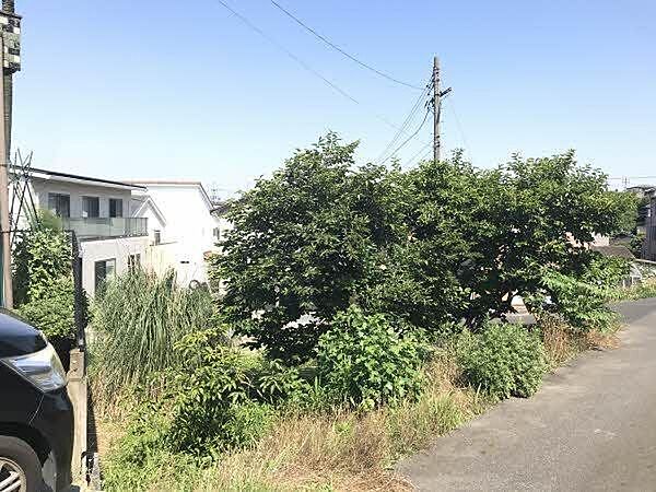 現地写真