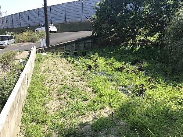 前面道路から宅盤が下がっております