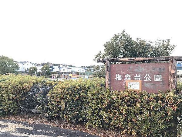 梅森台公園 1970m