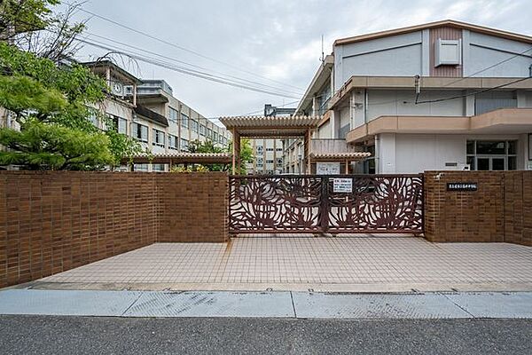 名古屋市立菊井中学校 徒歩11分。 880m
