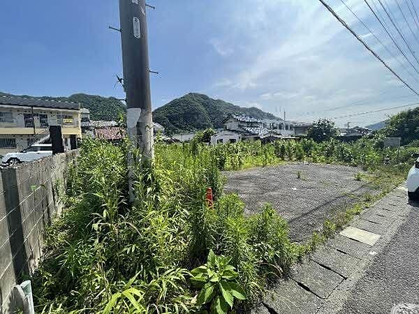 現地写真