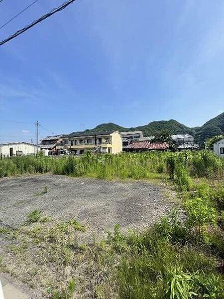 現地写真