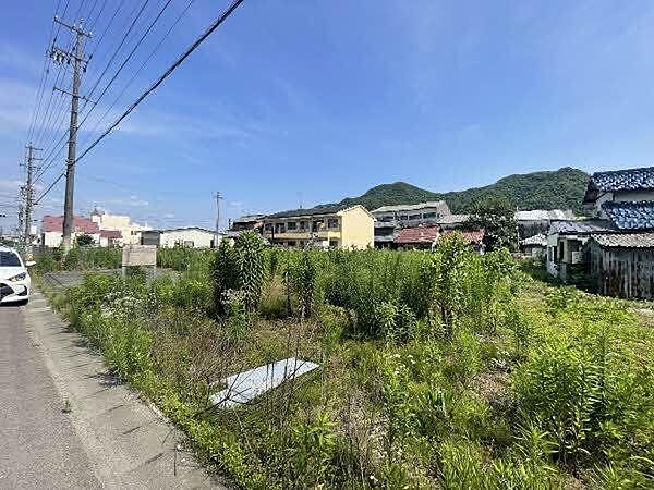 現地写真
