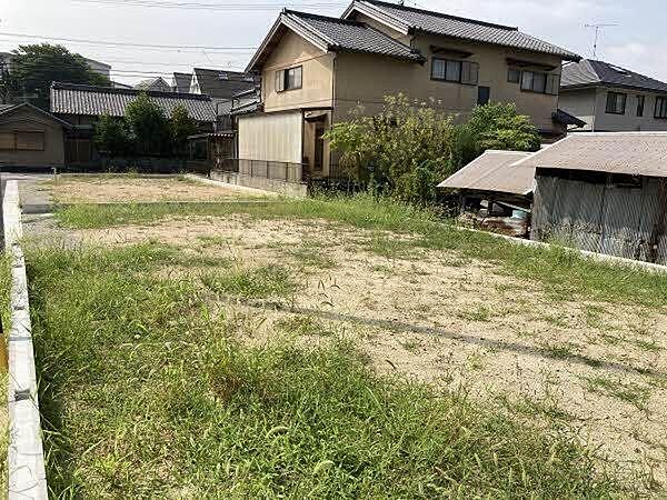 現地写真