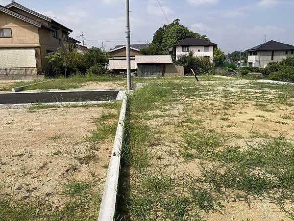 現地写真