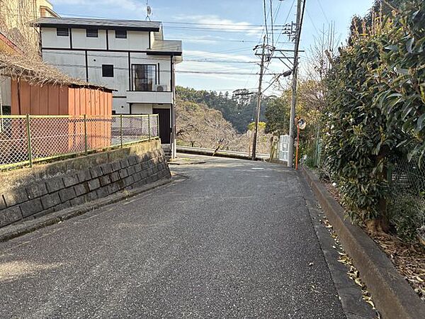 北側から見た様子