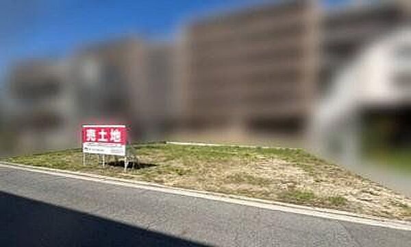 外観：334000266221