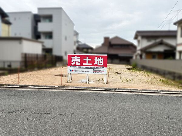 外観：334000266223