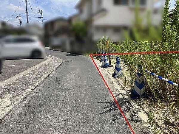 2026年7月撮影