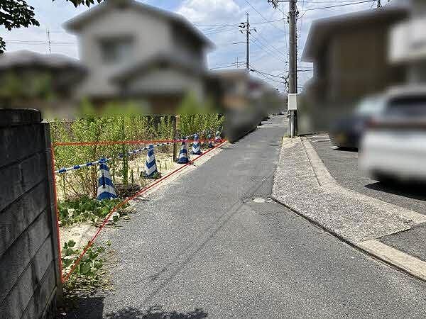 2026年7月撮影