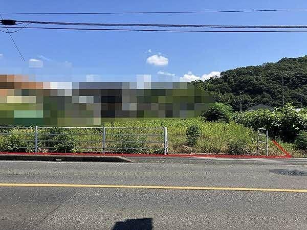2026年8月撮影