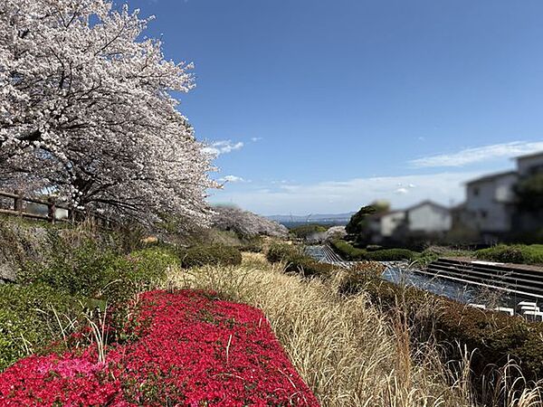 周辺環境※2026年4月撮影