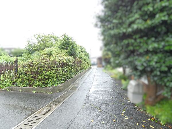 東側道路