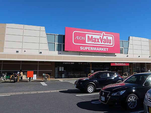 スーパー「マックスバリュ辰巳台店まで685m」