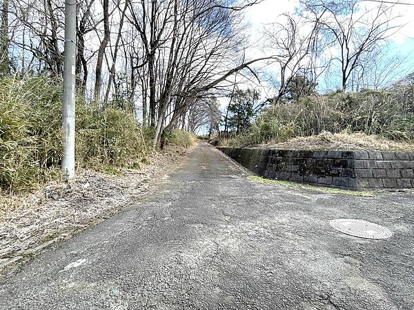 北側の接道状況です。